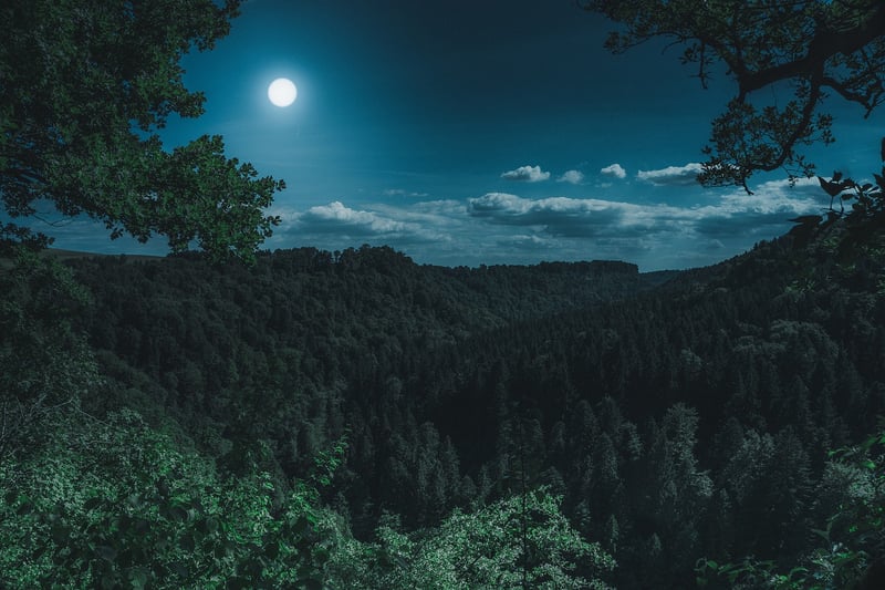 Lunar Photo Booth